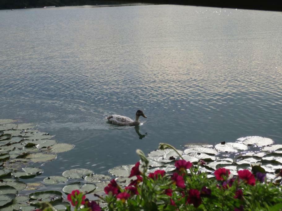 Hotel Ferienhaus Am Friedberger Baggersee Friedberg  Exteriér fotografie